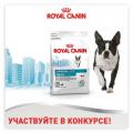 Конкурс Royal Canin на тему жизни собаки в городе: «Royal Canin Urban Lifestyle»