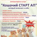 Комплексное предложение «Кошачий СТАРТ АП»