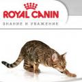 Акция Royal Canin: «Подарок для котенка»