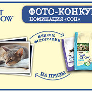 Конкурс Cat Chow: «Дикие инстинкты» title=