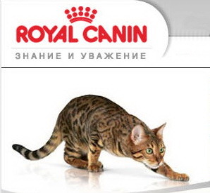 Акция Royal Canin: «Подарок для котенка» title=