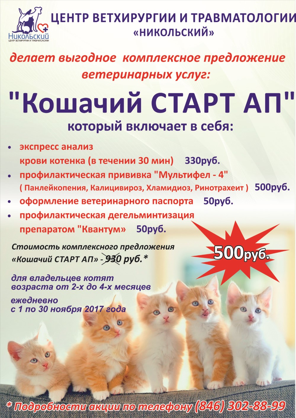 Комплексное предложение «Кошачий СТАРТ АП» title=