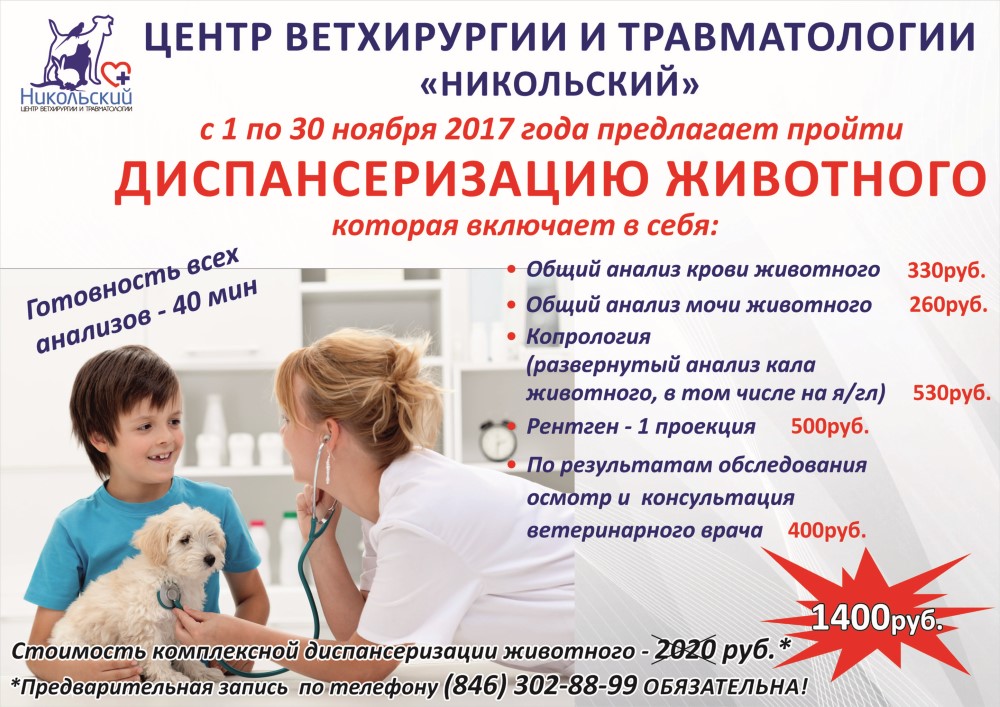 Диспансеризация животного title=