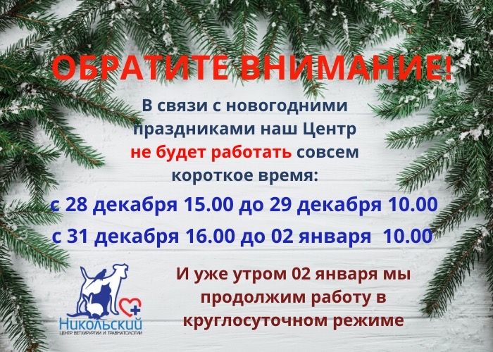 График работы на новогодние праздники title=
