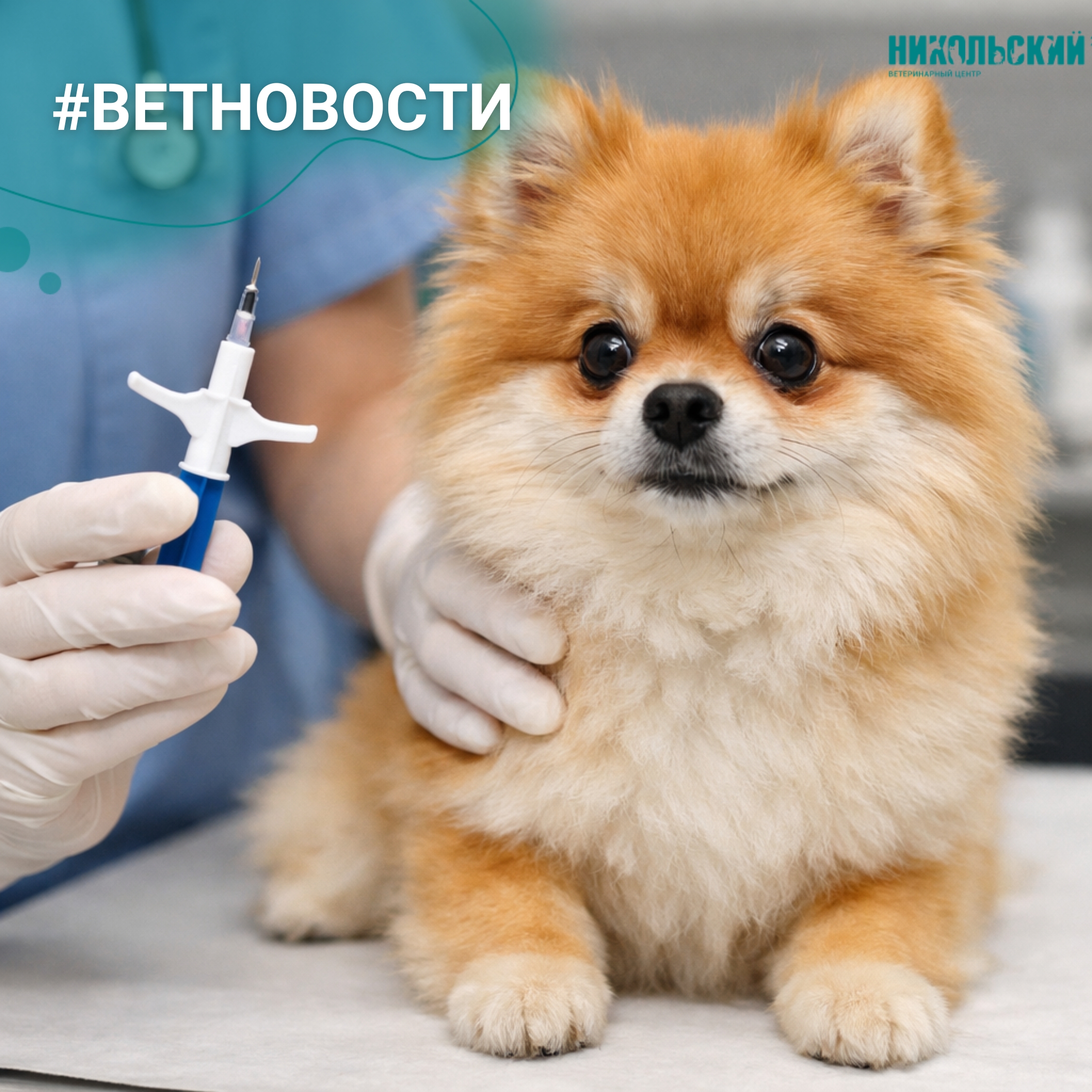 Закон об обязательном чипировании животных title=